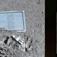 Image for article titled The weirdest and most unbelievable things that humans have sent into space